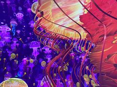 -海合安武汉极地海洋公园