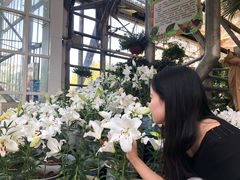 -南山植物园
