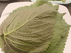 -揽月斋炙子烤肉·清真(安定门·五道营店)