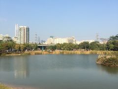 -福田红树林生态公园