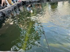 -DGE季风钓虾营地·团建·聚会