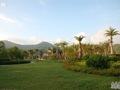 DSC_0607-宁波九龙湖开元度假村