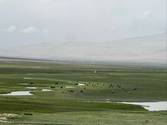 -艾提尕尔清真寺