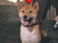 -胡大饭馆(青果路店)