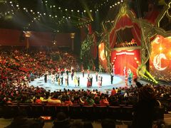 -珠海横琴长隆《卡卡虎奇遇记》