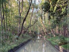 -上海滨江森林公园