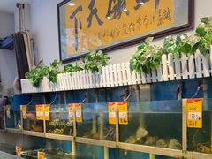 -鑫悦楼煎蟹·16年海鲜大排档