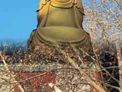 -西安大兴善寺