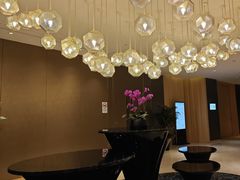 -苏州金鸡湖文博诺富特酒店