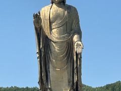 -中原大佛景区
