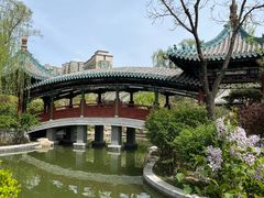 -迎泽公园