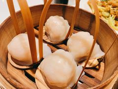 招牌虾饺皇-金鼎轩(亚运村店)