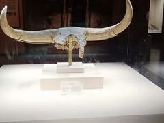 -宁夏博物馆