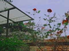 -边渡咖啡烘焙店(昙华林店)