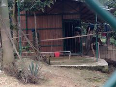 -广西壮族自治区药用植物园