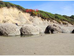-摩拉基大圆石
