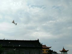 -南海禅寺