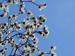 -兰州-西固陈记牛肉面·烧烤(山阴路店)