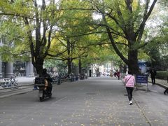 -四川大学(华西校区)