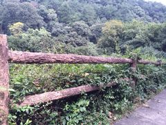 iphone_upload_pic-杭州少年儿童公园