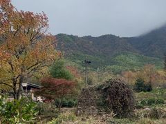 -塔川景区