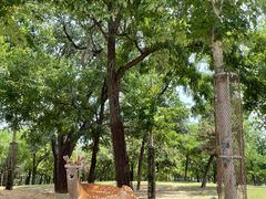 -哈尔滨北方森林动物园