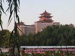 -莲花池公园