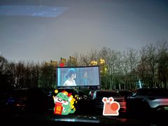 -枫花园汽车电影院(朝阳公园店)