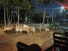 -清迈夜间动物园