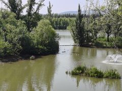-翠湖国家城市湿地公园