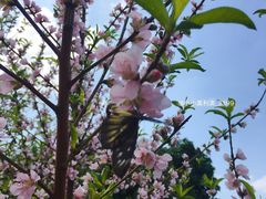 -水濂山森林公园