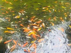 -珠海圆明新园