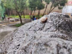 -西安关中民俗艺术博物院