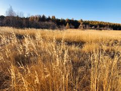 -塞罕坝国家级自然保护区