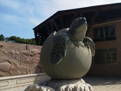 门面-广东惠东海龟国家级自然保护区