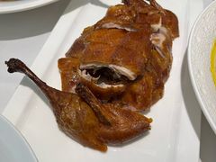 -圆苑(静安寺店)