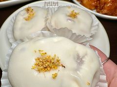 -单家老院·院子里的青岛菜(沙子口店)