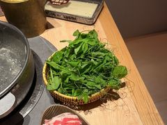 -巴奴毛肚火锅(七宝领展广场店)