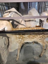 -酷嗒动物文化乐园(cutezoo西溪乐天城店)