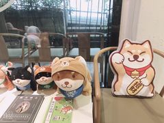 -柴务处·柴犬主题狗咖