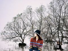 -宝安西湾红树林湿地公园