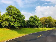 -松山湖南湖湾露营营地
