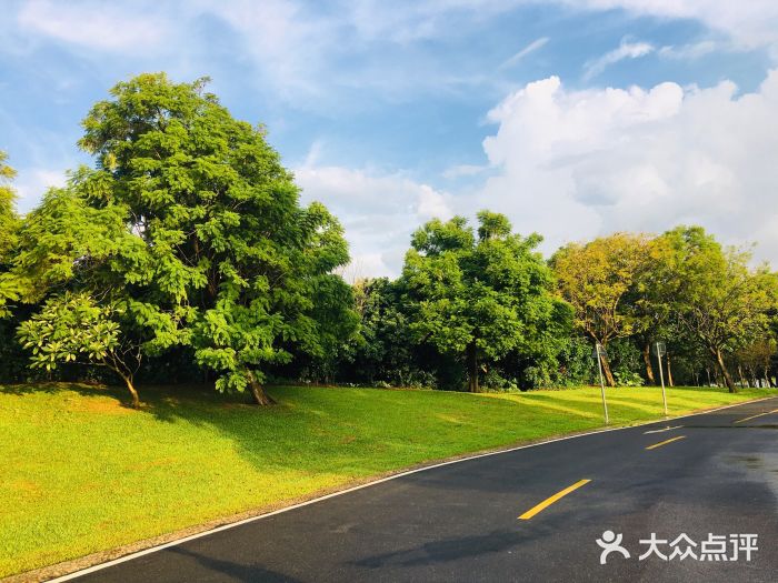 松山湖南湖湾露营营地图片