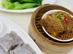 -金苑喜宴