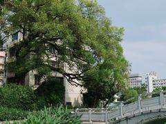 -广西大学(大学东路校区)