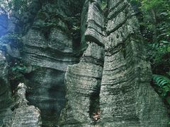 -梭布垭石林景区