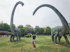 -中国西峡恐龙遗迹园