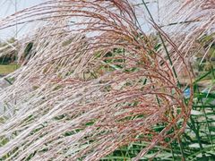 -千龙湖生态旅游度假区