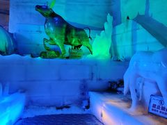 -白鹿仓冰雪海洋世界