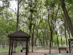 -东升八家郊野公园